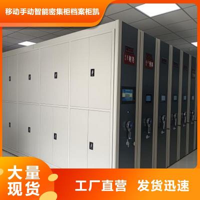 客戶滿意【凱美】網(wǎng)片式油畫密集架